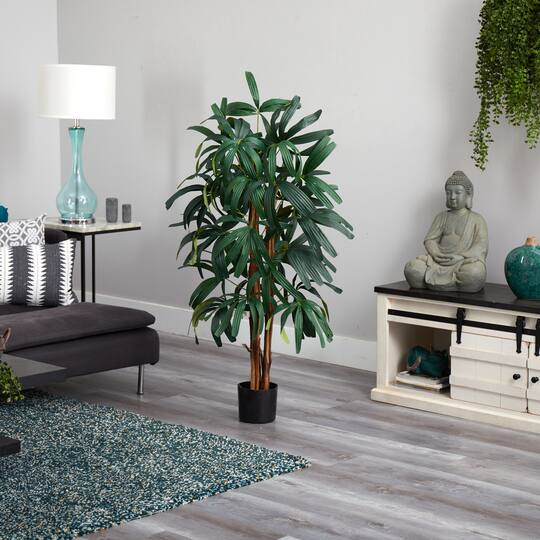 4ft. Potted Raphis Palm Tree